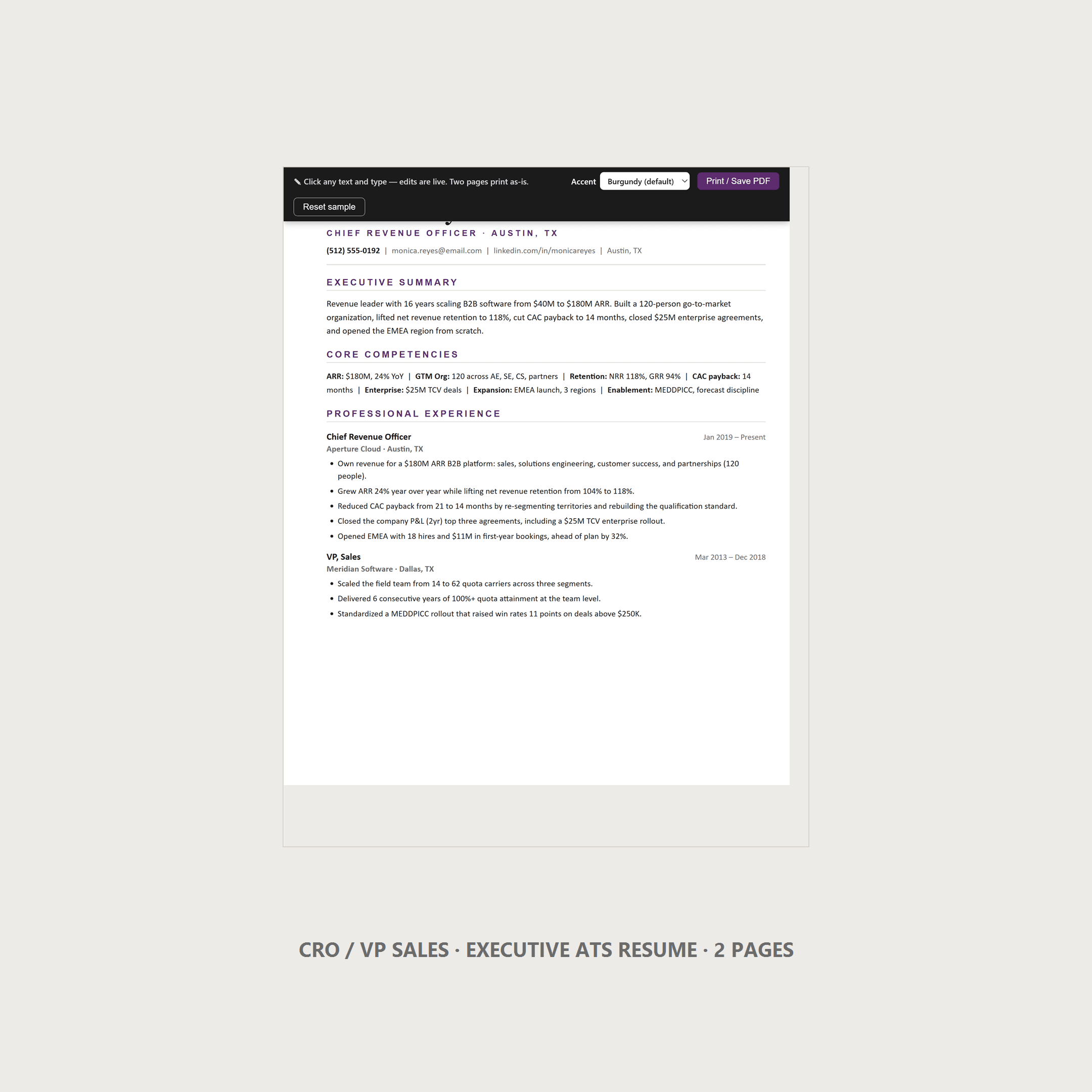 CRO Resume Template — VP Sales, Executive ATS, 2 Page, US Letter | Word & Google Docs
